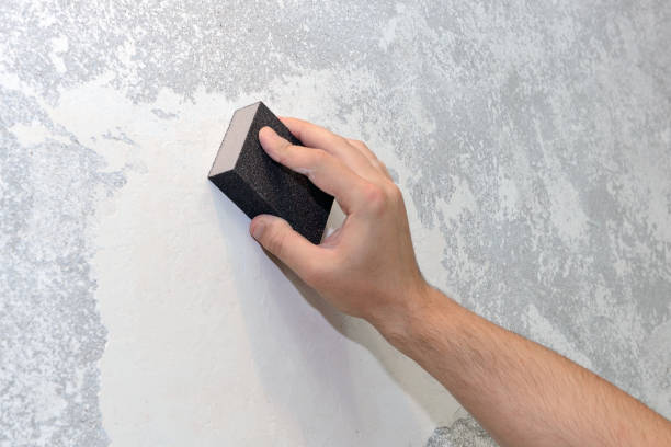 Forensic Mold Investigation in Redby, MN