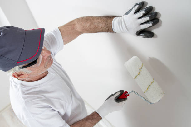 Best Asbestos and Lead Testing During Mold Inspection  in Redby, MN