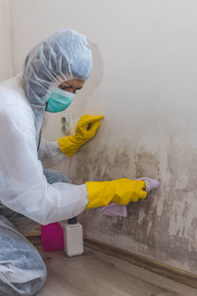 Best Air Quality Testing for Mold Spores  in Redby, MN