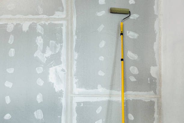 Best Biohazard Mold Removal  in Redby, MN