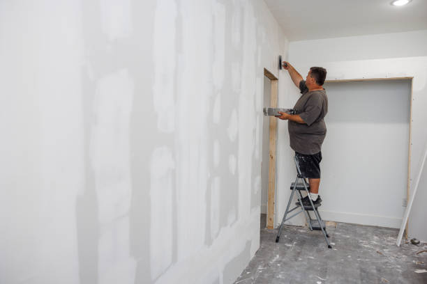 Best Mold Damage Restoration  in Redby, MN