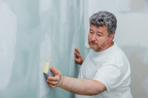 Best Water Damage & Mold Remediation  in Redby, MN