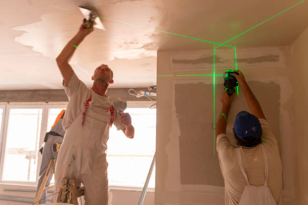 Best Mold Remediation for Healthcare Facilities  in Redby, MN