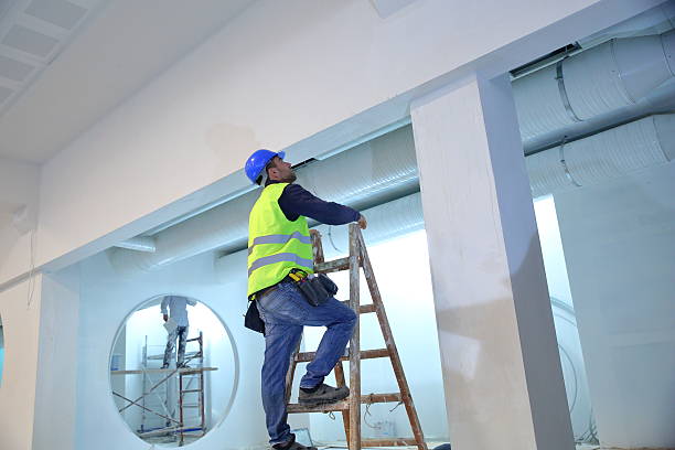 Best Post-Construction Mold Inspection  in Redby, MN